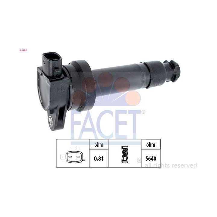 Ritė, uždegimas FACET 9.6395