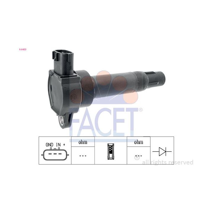 Ritė, uždegimas FACET 9.6403