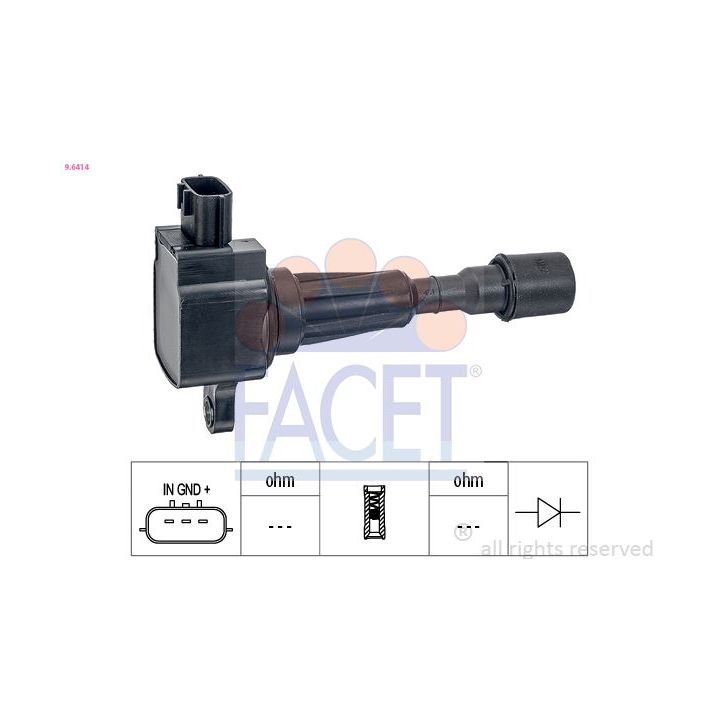 Ritė, uždegimas FACET 9.6414