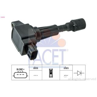 Ritė, uždegimas FACET 9.6416