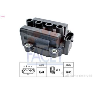 Ritė, uždegimas FACET 9.6418