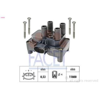 Ritė, uždegimas FACET 9.6432