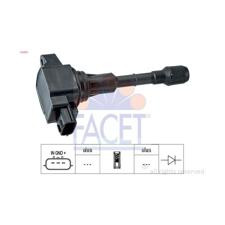 Ritė, uždegimas FACET 9.6433