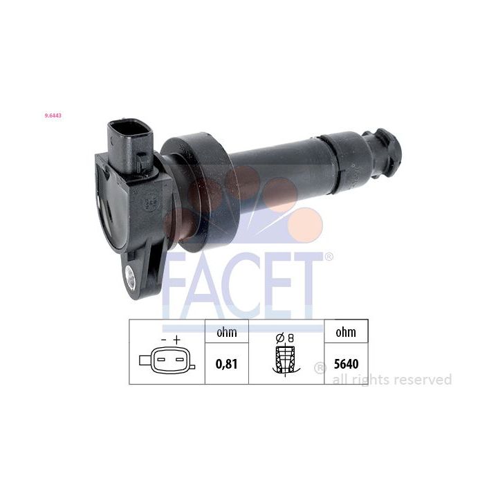 Ritė, uždegimas FACET 9.6443