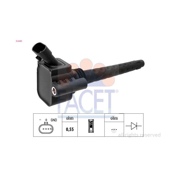 Ritė, uždegimas FACET 9.6449