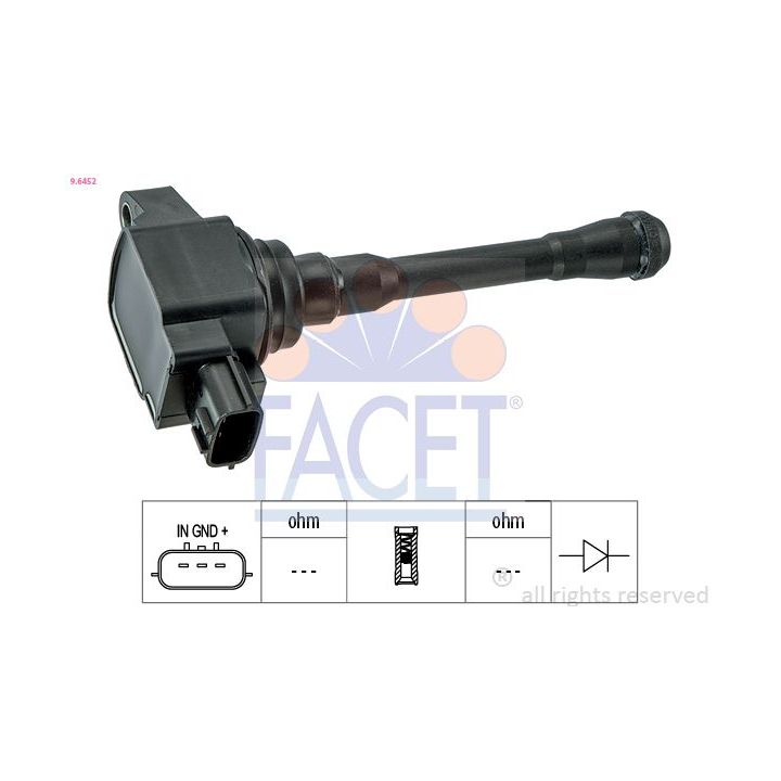 Ritė, uždegimas FACET 9.6452