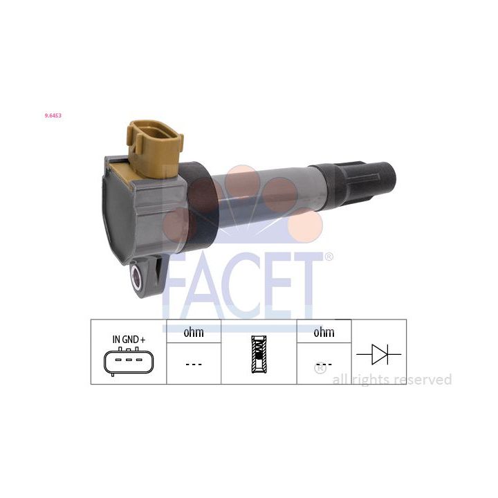 Ritė, uždegimas FACET 9.6453
