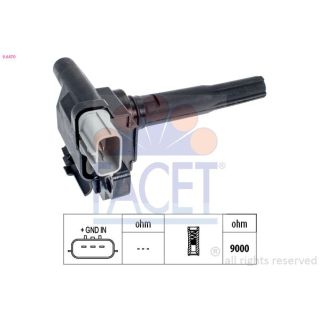 Ritė, uždegimas FACET 9.6470