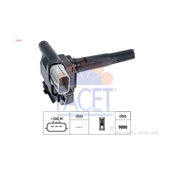 Ritė, uždegimas FACET 9.6470