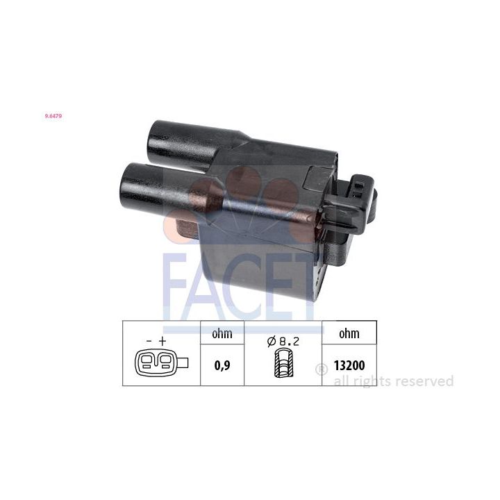 Ritė, uždegimas FACET 9.6479