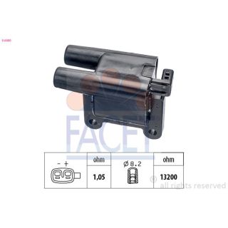 Ritė, uždegimas FACET 9.6480