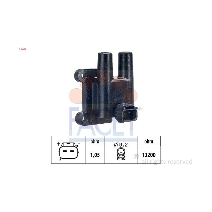 Ritė, uždegimas FACET 9.6483