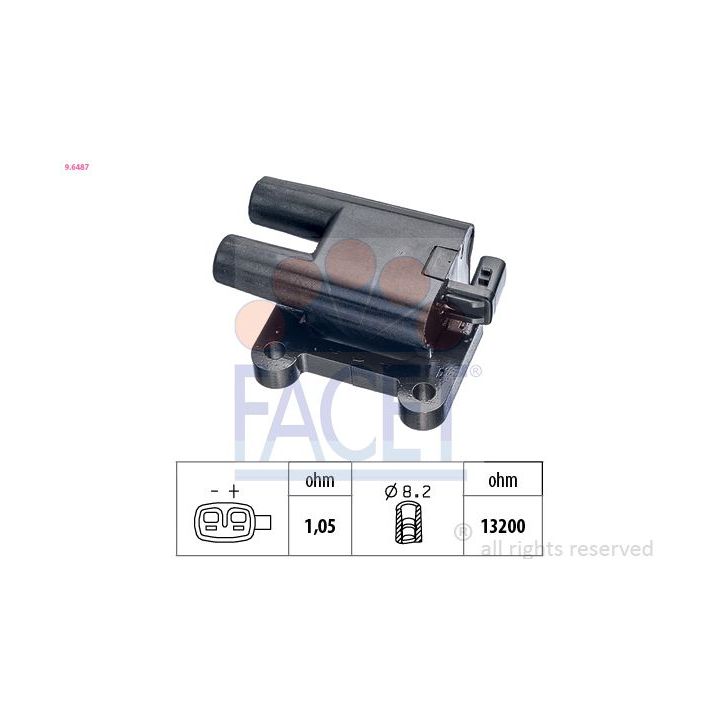 Ritė, uždegimas FACET 9.6487