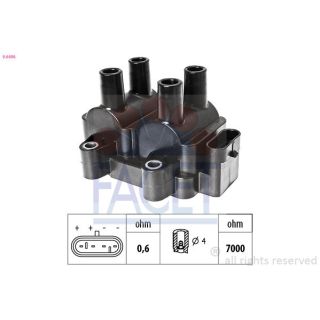 Ritė, uždegimas FACET 9.6496