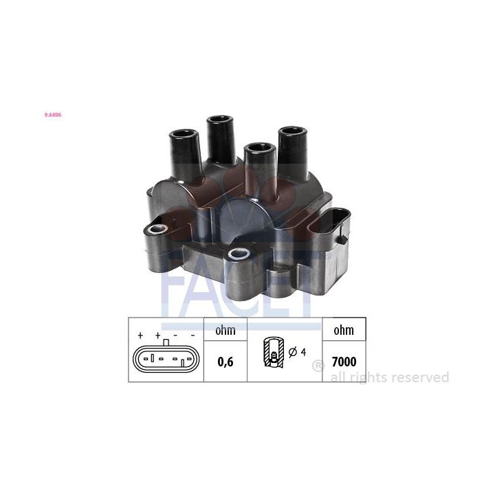 Ritė, uždegimas FACET 9.6496