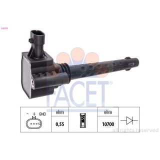 Ritė, uždegimas FACET 9.6510