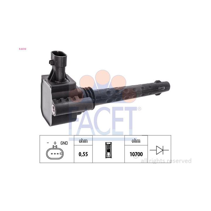 Ritė, uždegimas FACET 9.6510