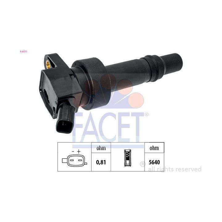 Ritė, uždegimas FACET 9.6511