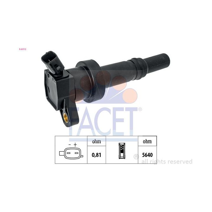 Ritė, uždegimas FACET 9.6512