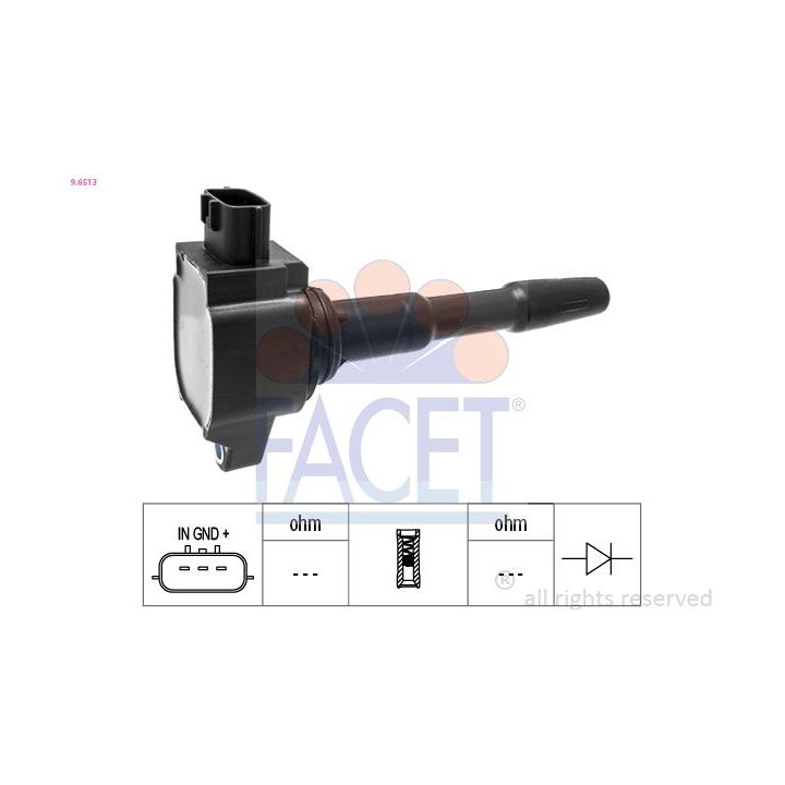 Ritė, uždegimas FACET 9.6513