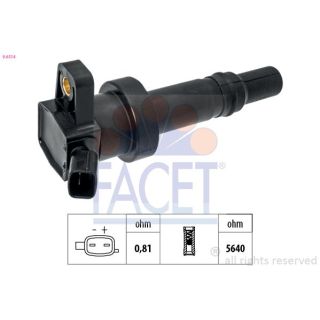 Ritė, uždegimas FACET 9.6514