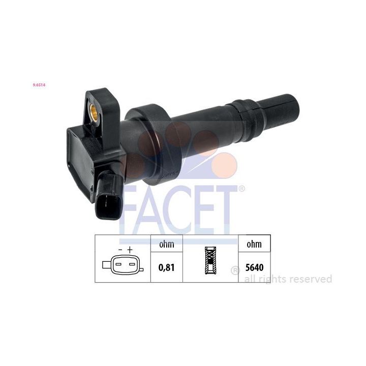 Ritė, uždegimas FACET 9.6514