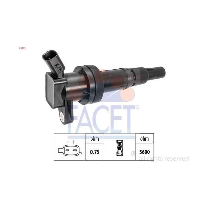 Ritė, uždegimas FACET 9.6522