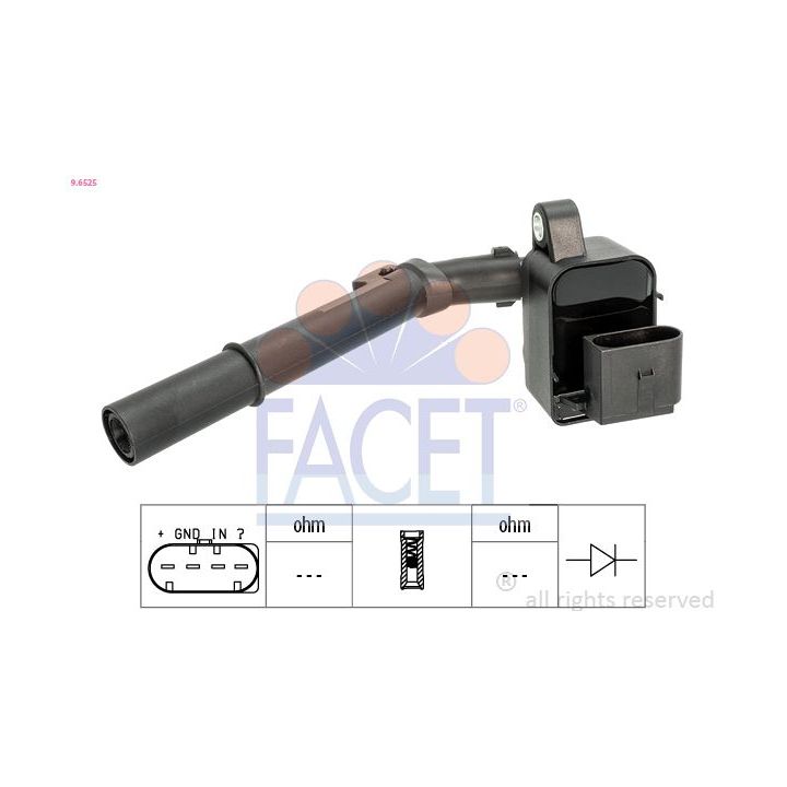 Ritė, uždegimas FACET 9.6525