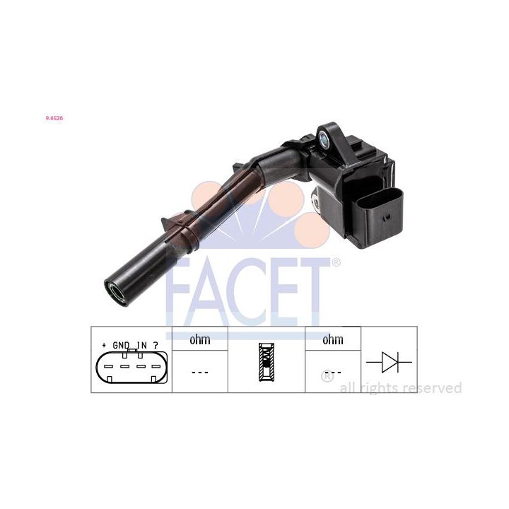 Ritė, uždegimas FACET 9.6526