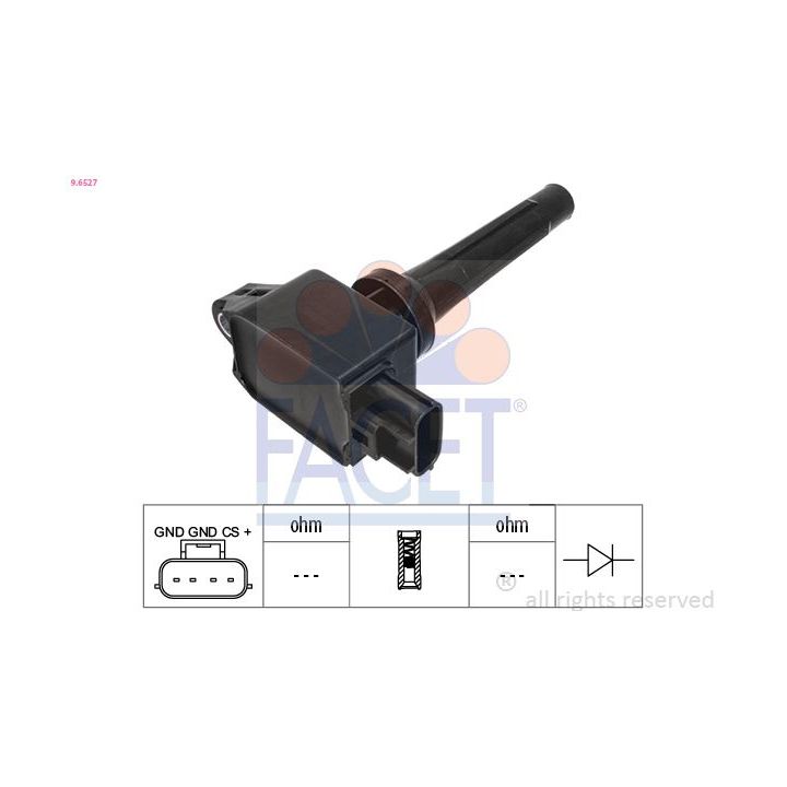Ritė, uždegimas FACET 9.6527