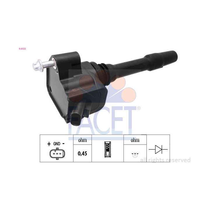 Ritė, uždegimas FACET 9.6532