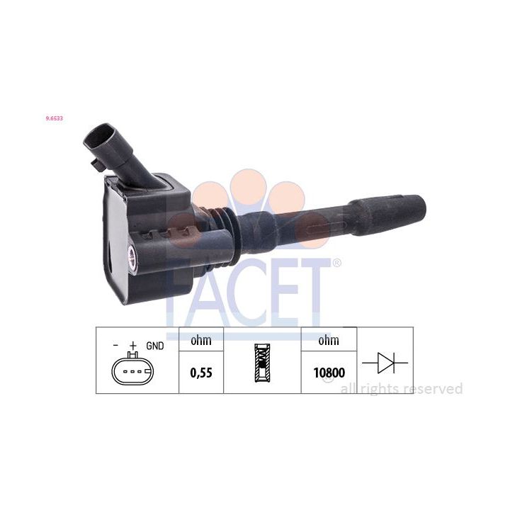 Ritė, uždegimas FACET 9.6533