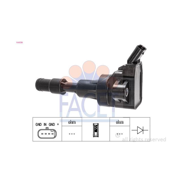 Ritė, uždegimas FACET 9.6538