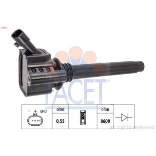 Ritė, uždegimas FACET 9.6542