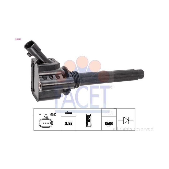 Ritė, uždegimas FACET 9.6542