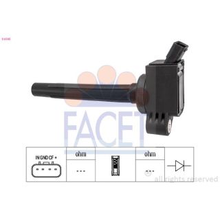 Ritė, uždegimas FACET 9.6545