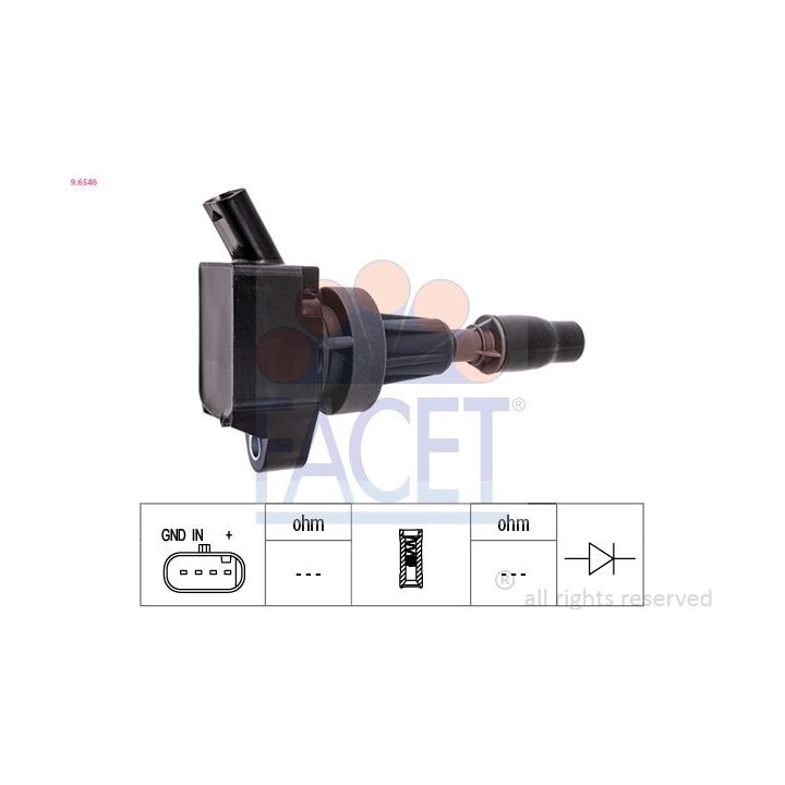 Ritė, uždegimas FACET 9.6546