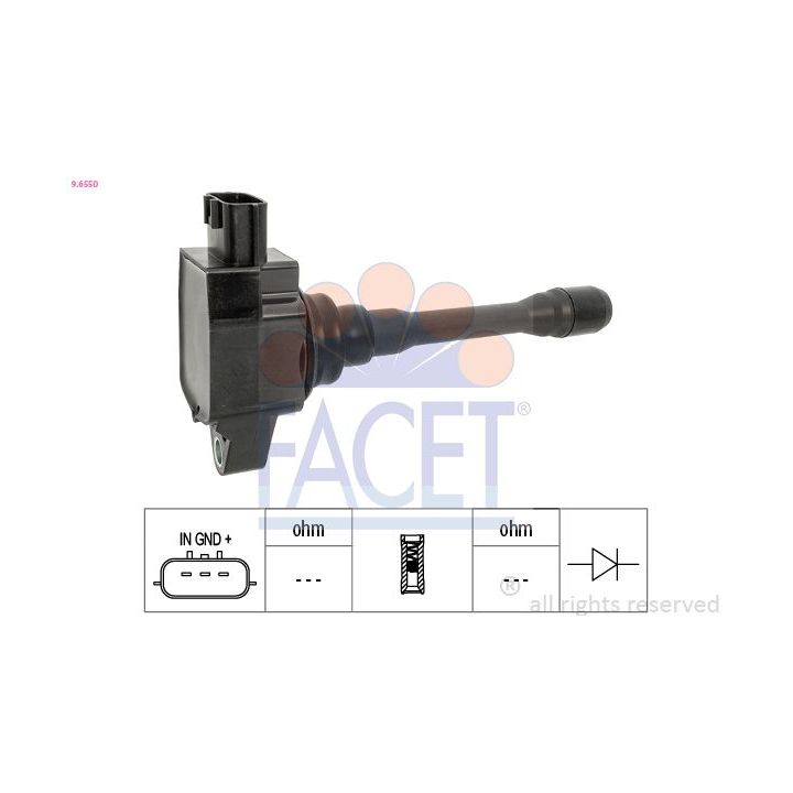 Ritė, uždegimas FACET 9.6550