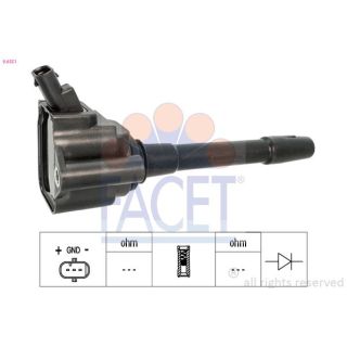 Ritė, uždegimas FACET 9.6551