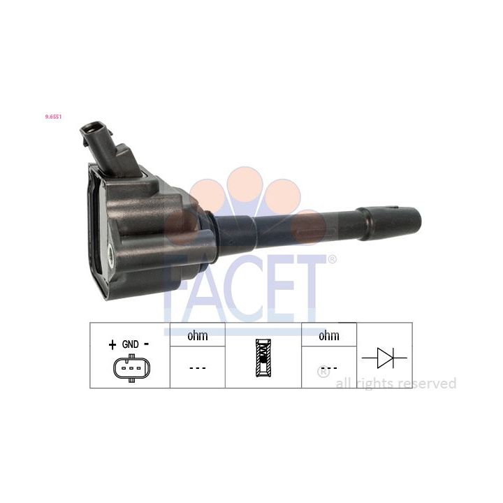 Ritė, uždegimas FACET 9.6551