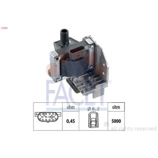 Ritė, uždegimas FACET 9.8003