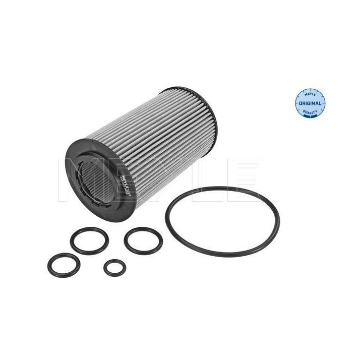 Alyvos filtras MEYLE 014 018 0010