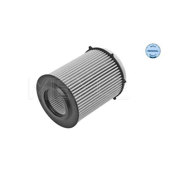 Alyvos filtras MEYLE 014 018 0022