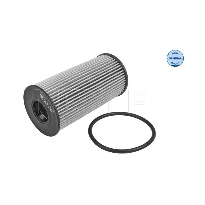 Alyvos filtras MEYLE 014 322 0018