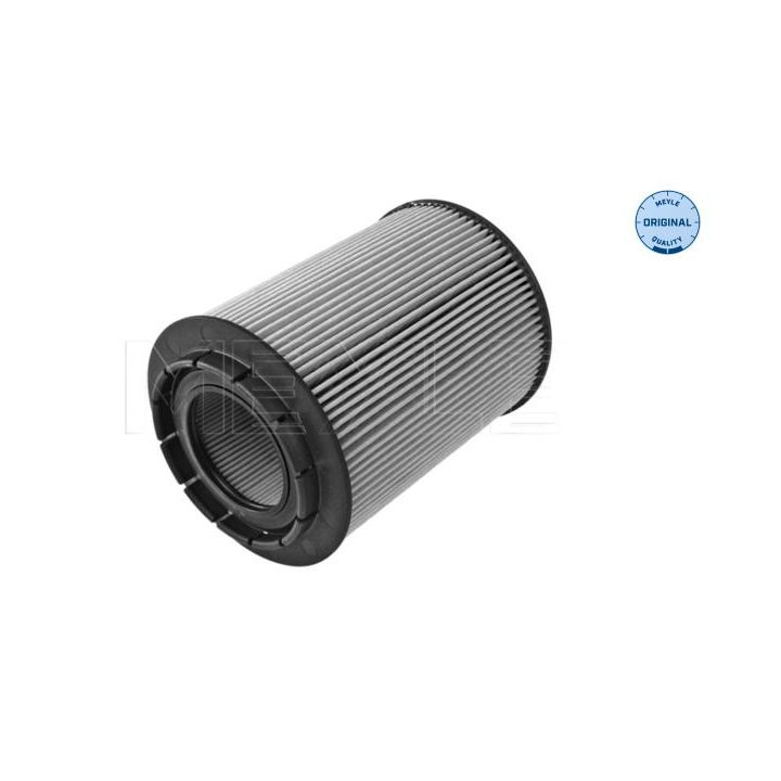 Alyvos filtras MEYLE 114 322 0001