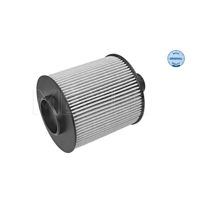 Alyvos filtras MEYLE 214 322 0009