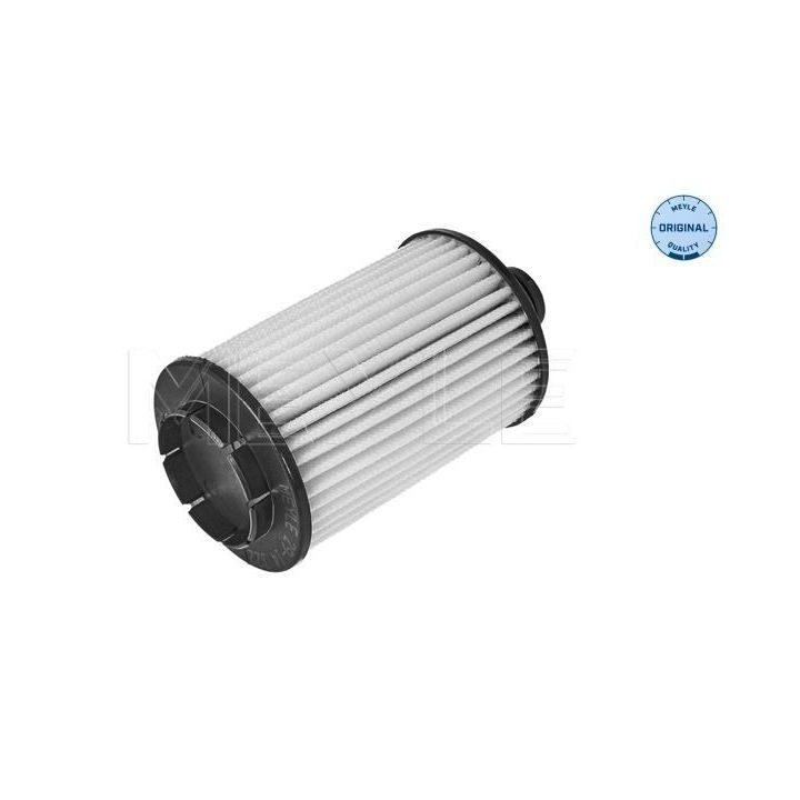 Alyvos filtras MEYLE 29-14 322 0003