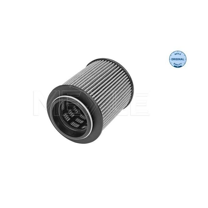 Alyvos filtras MEYLE 614 322 0016