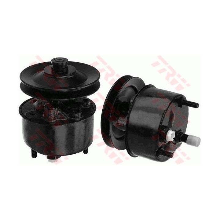 Hidraulinis siurblys, vairo sistema TRW JPR315