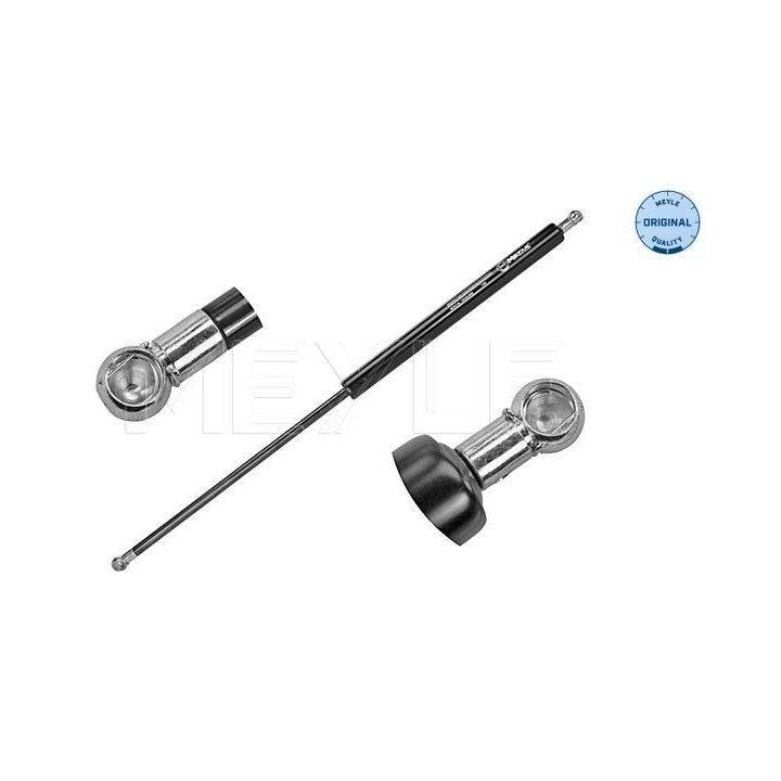 Dujinė spyruoklė, bagažinė MEYLE 740 910 0039